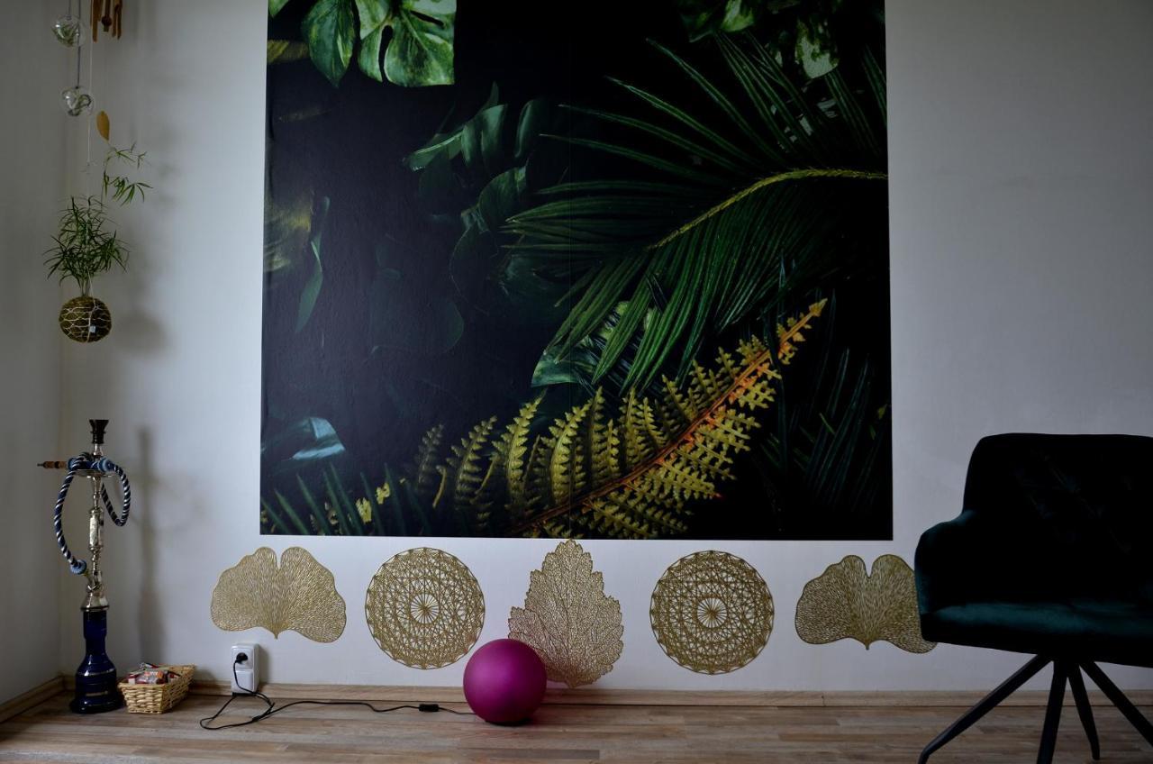 Apartamento Between Baroque And Jungle 16' Airport 8' Downtown *